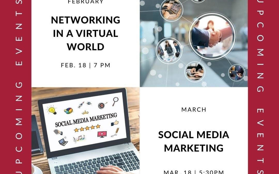 Networking in a Virtual World