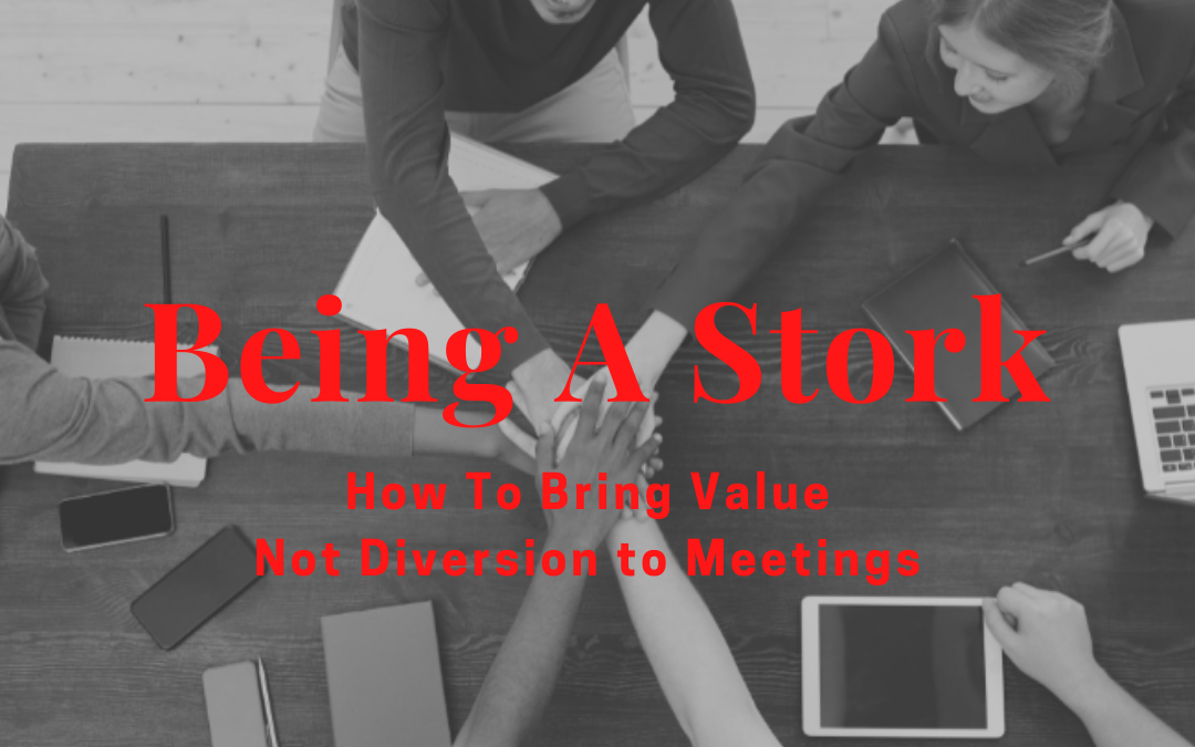Being a Stork: How to Bring Value, Not Diversion to Meetings