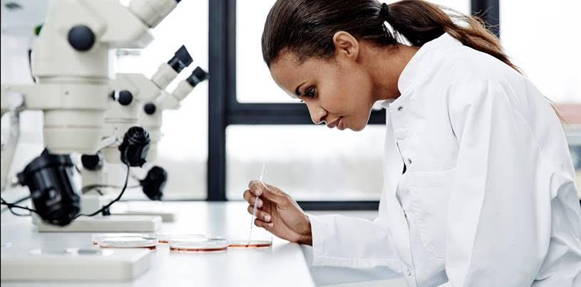 DOE STEM careers: research funding and training